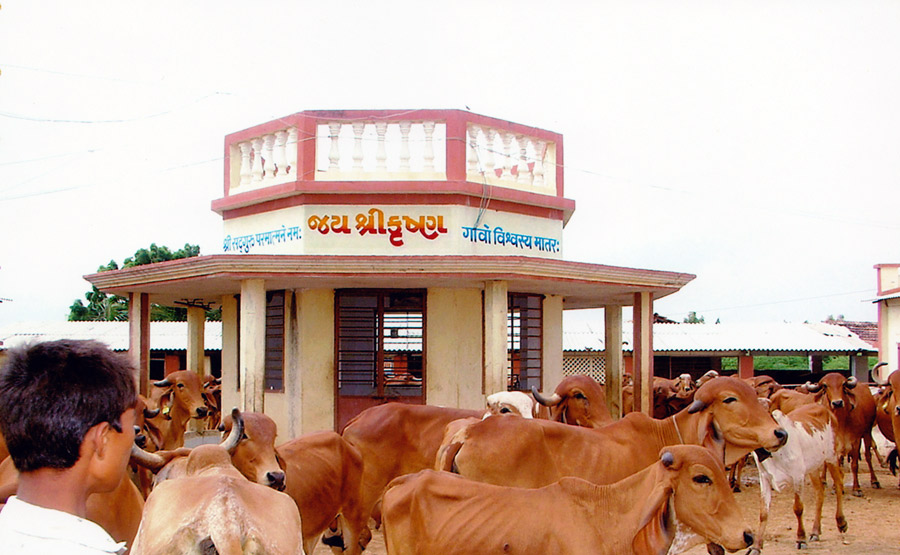 Shri Krishna Gaushala