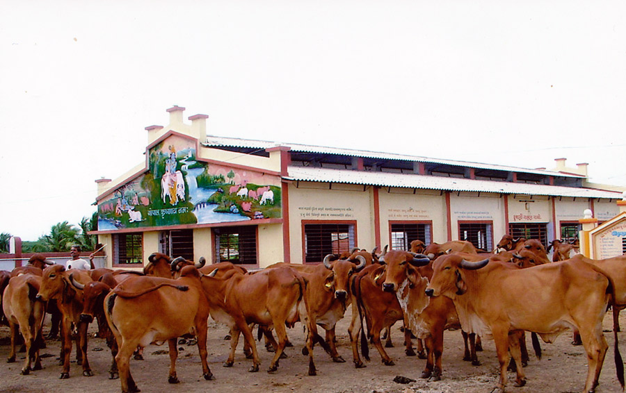 Shri Krishna Gaushala